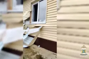 В Югре полицейские застрелили медведя, забравшегося в дом пенсионерки